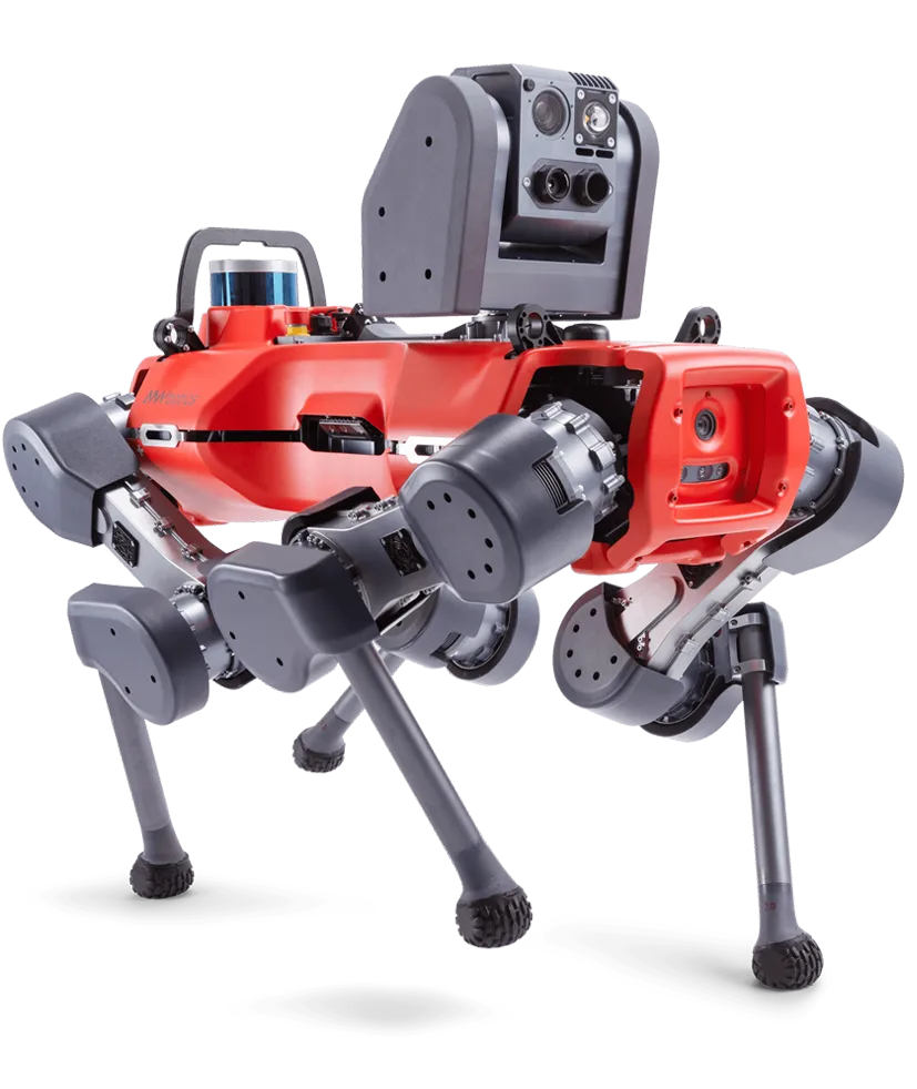 Quadruped robot for inspection and maintenance